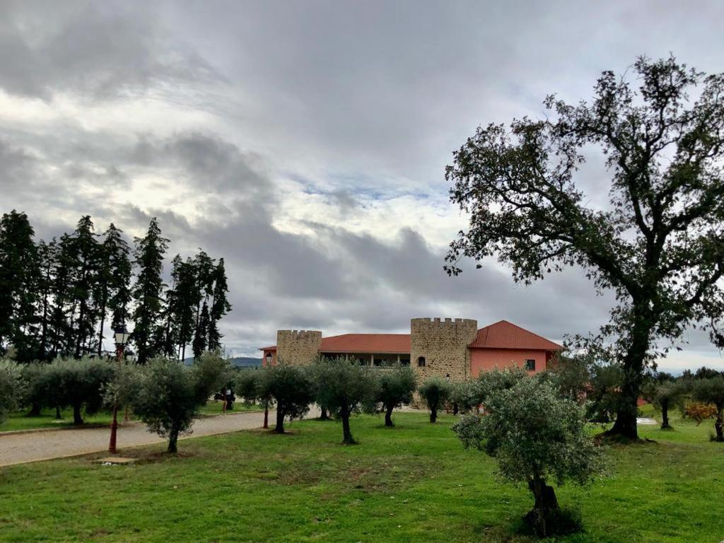 Palace Hotel & Spa Termas De Sao Tiago Penamacor Kültér fotó