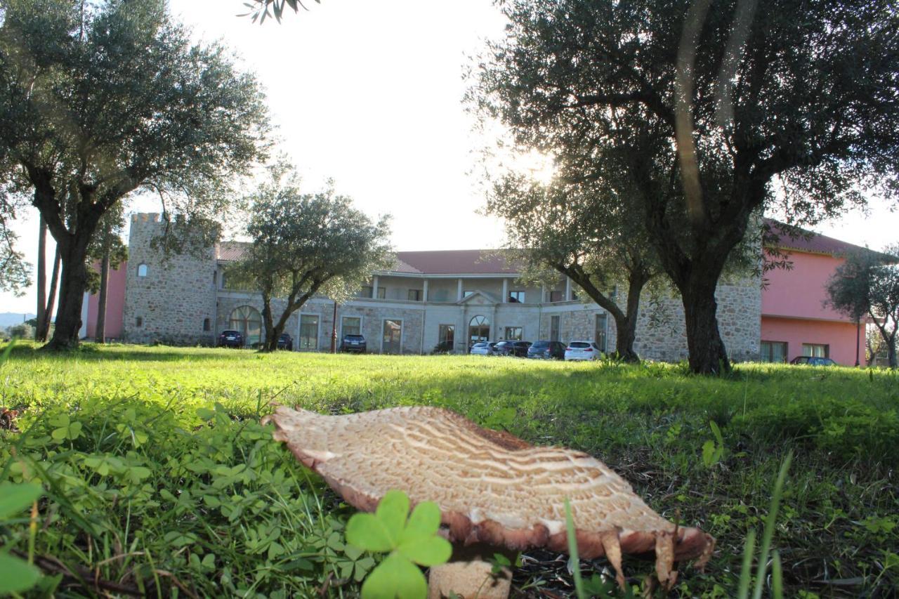 Palace Hotel & Spa Termas De Sao Tiago Penamacor Kültér fotó